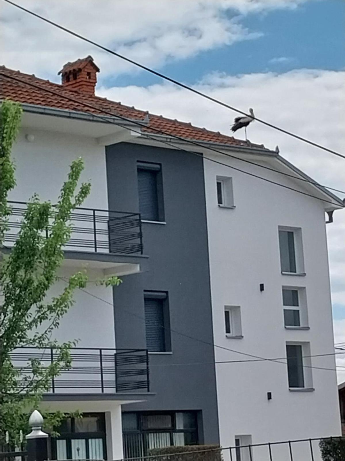 Ambient Apartments Struga Eksteriør bilde